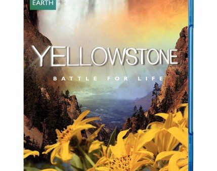 YELLOWSTONE: BATTLE FOR LIFE [BLU-RAY] For Cheap