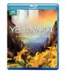 YELLOWSTONE: BATTLE FOR LIFE [BLU-RAY] For Cheap