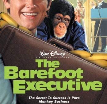 THE BAREFOOT EXECUTIVE Supply