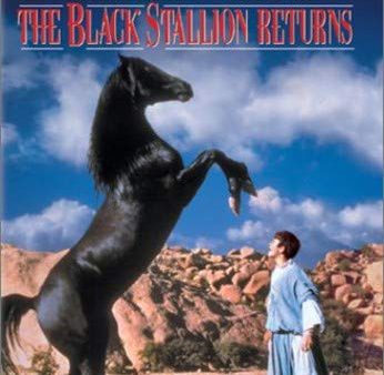 THE BLACK STALLION RETURNS Supply